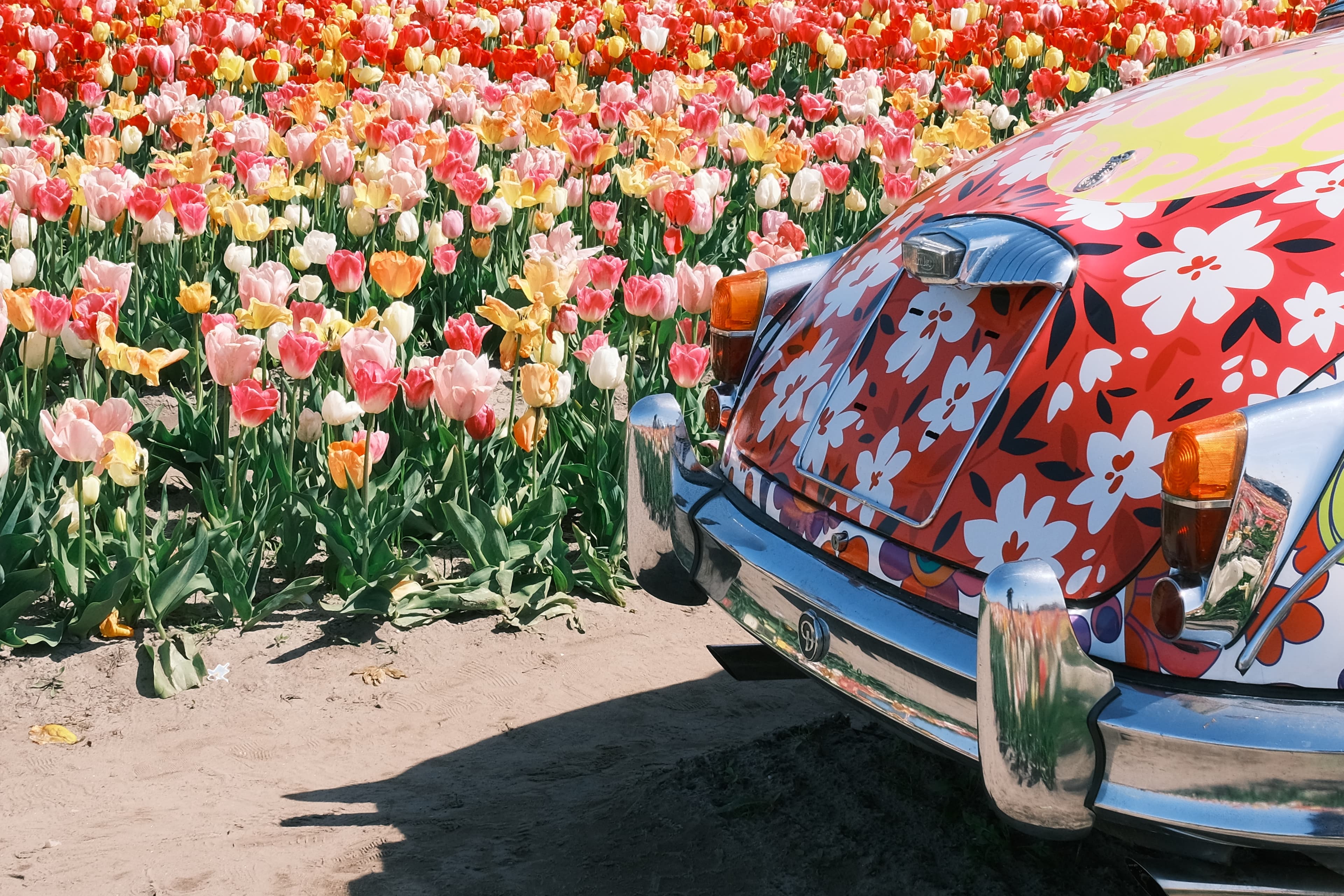 Amsterdam, Netherlands photo 3