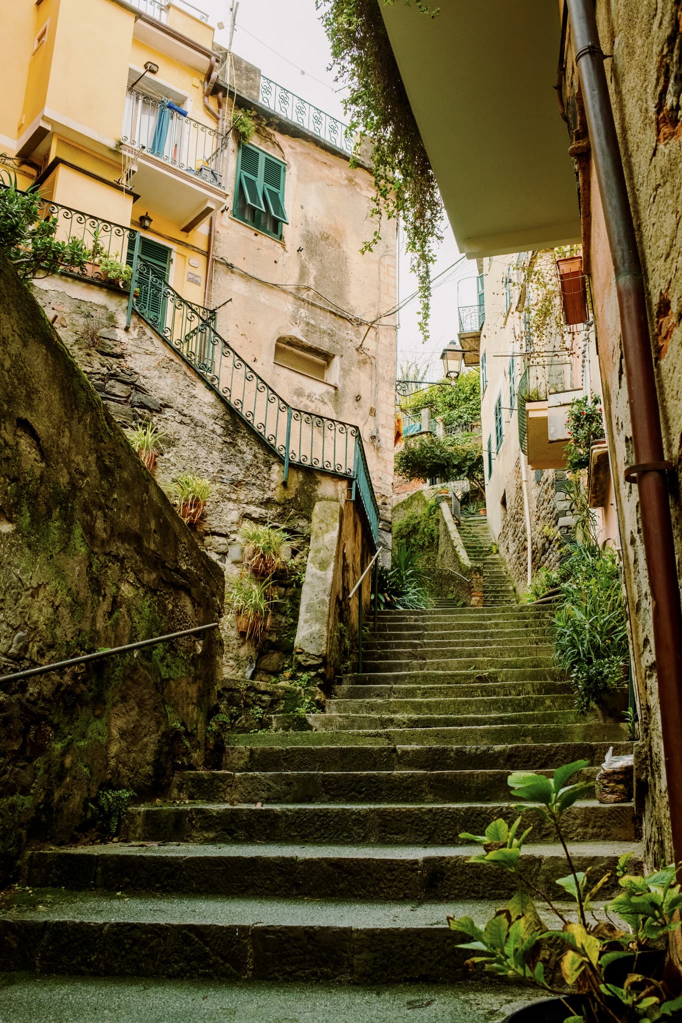 Cinque Terre, Italy photo 6