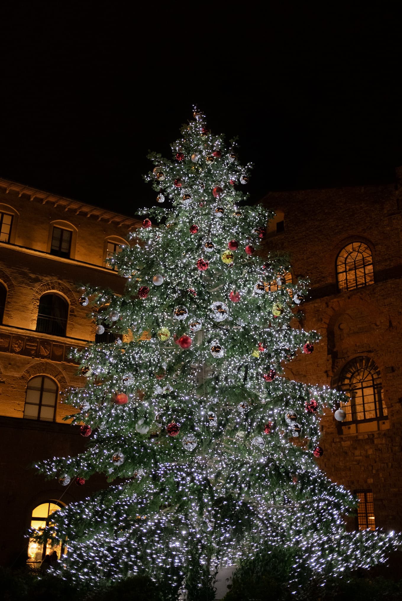 Florence, Italy photo 3