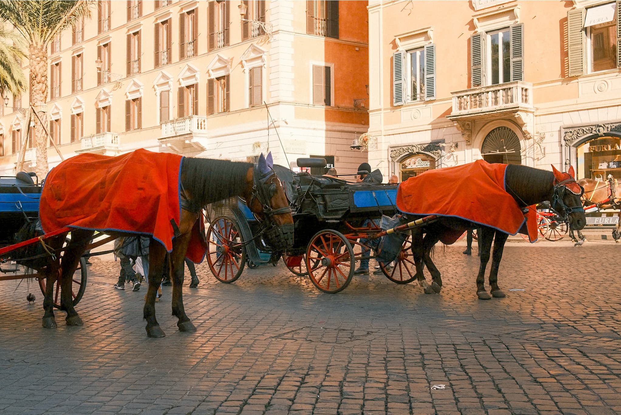 Rome, Italy photo 4