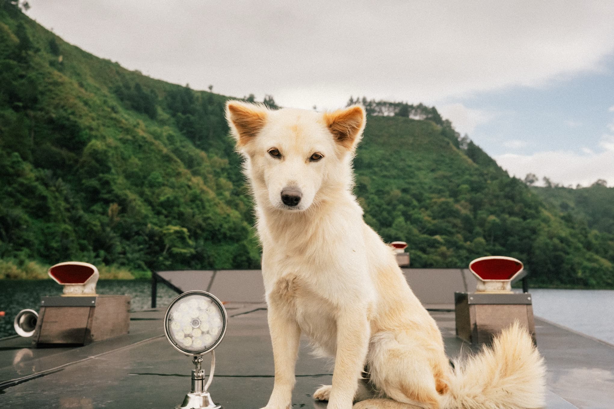 Toba, Indonesia photo 9