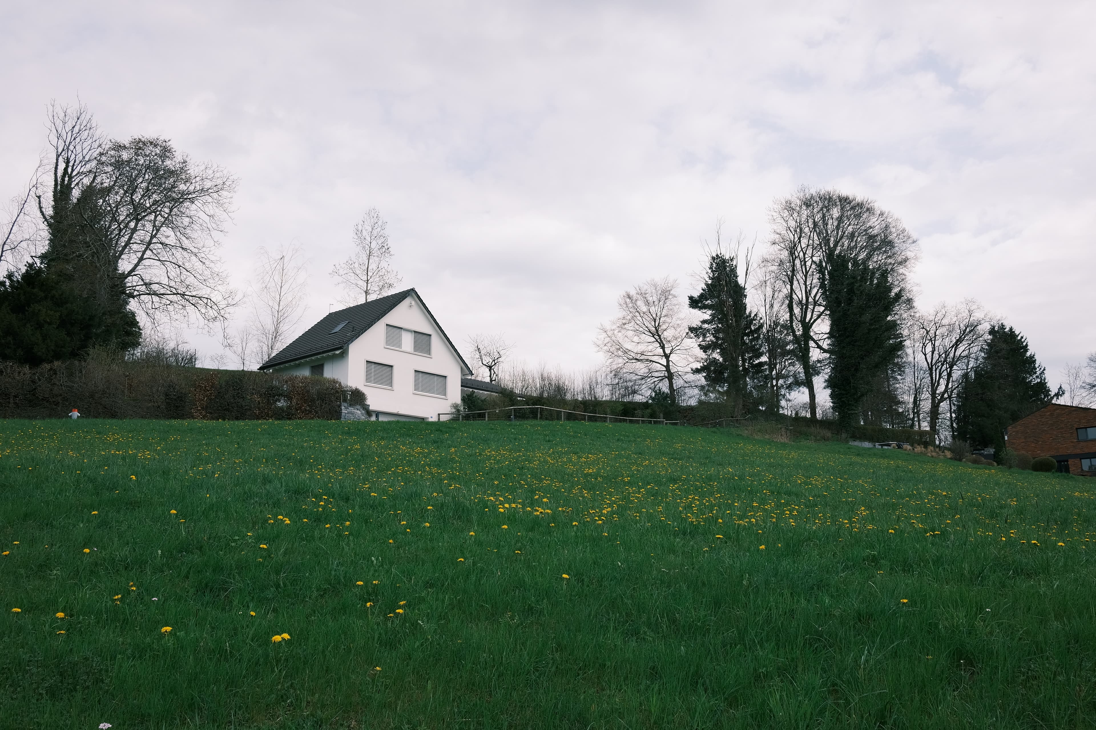 Zurich, Switzerland photo 6