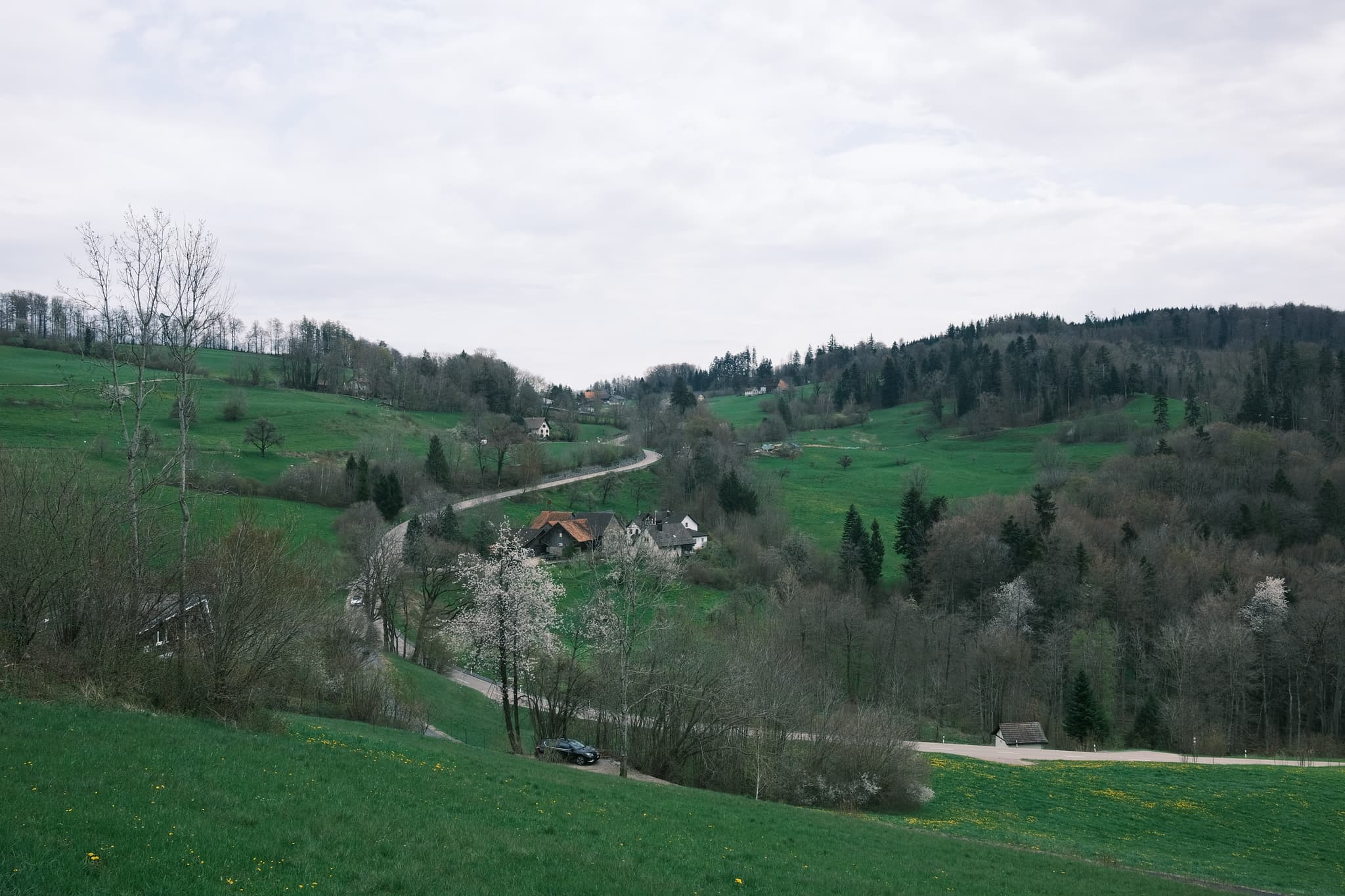 Zurich, Switzerland photo 7