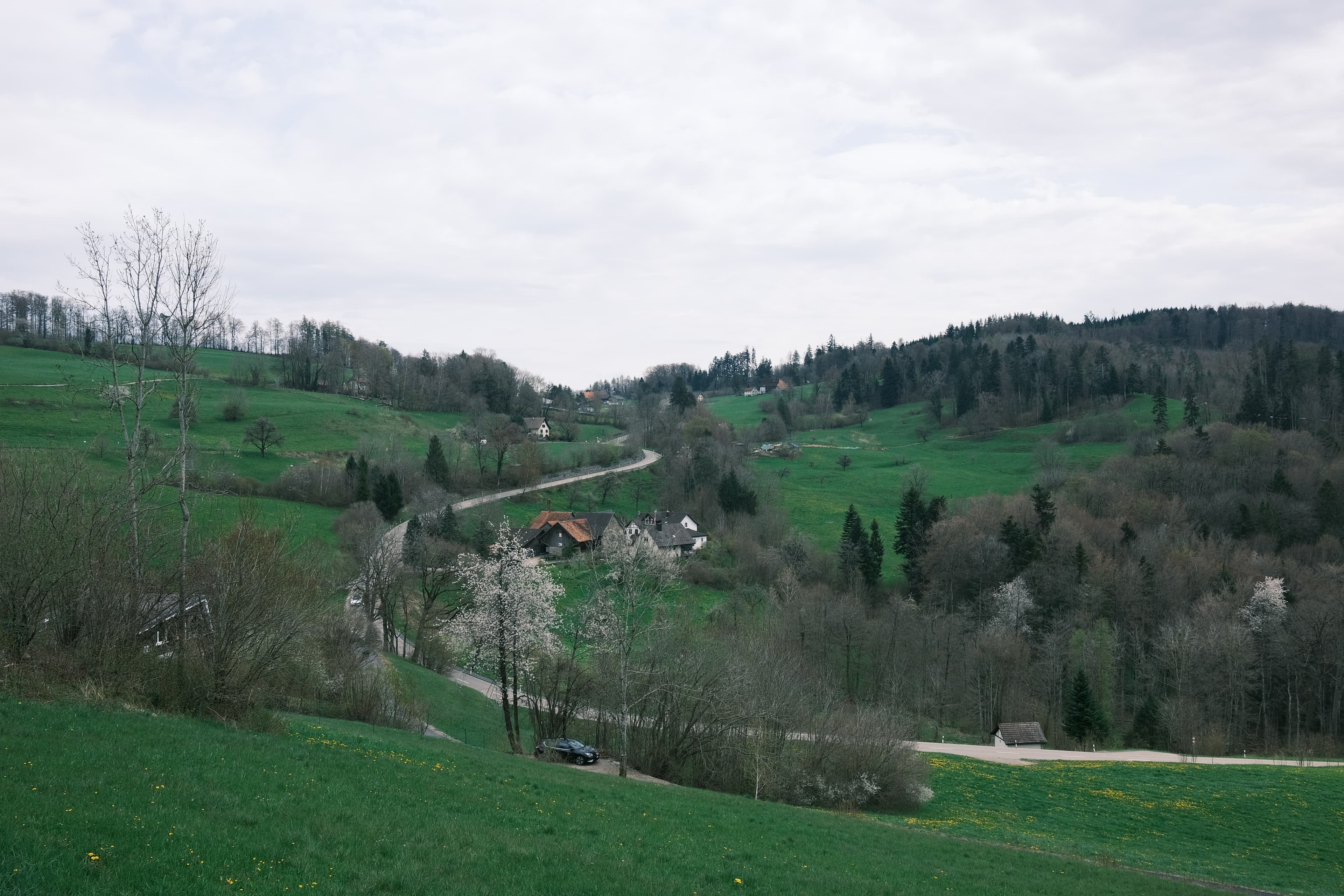 Zurich, Switzerland photo 7